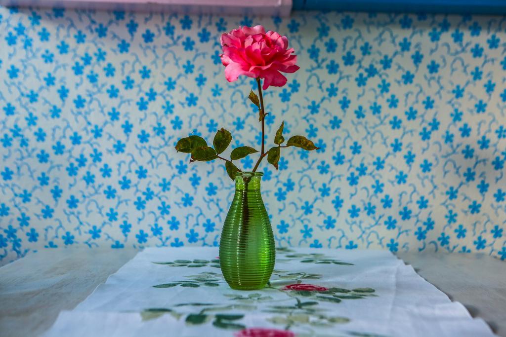 Apartment Novka