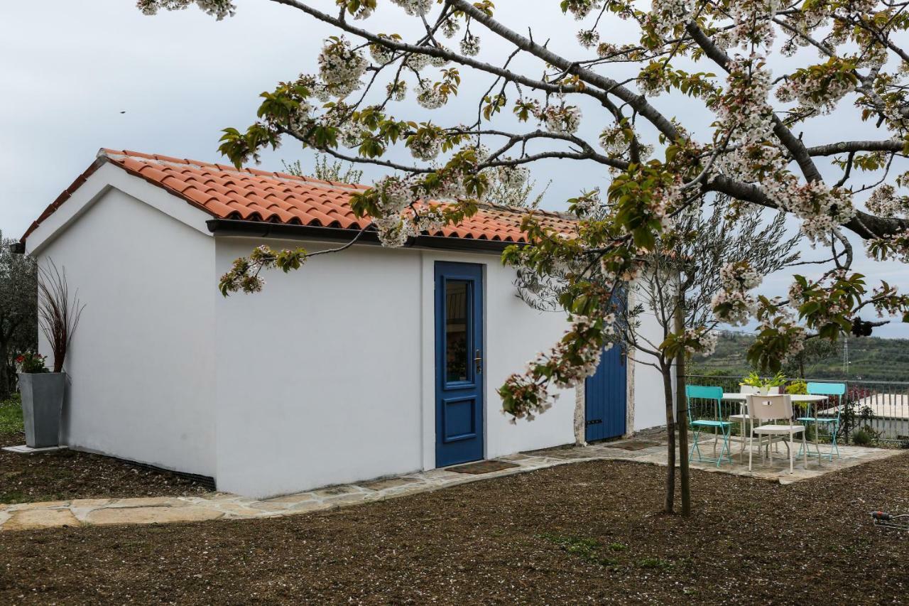 Apartment Novka Izola