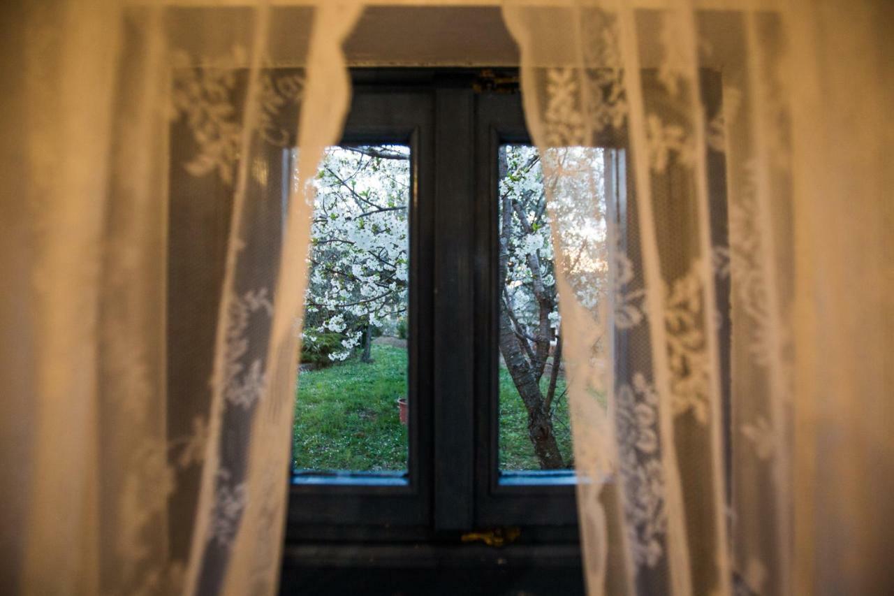 Apartment Novka Izola
